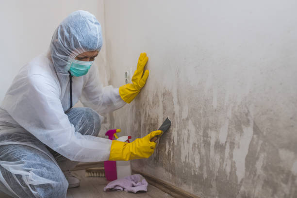 Best Commercial Mold Removal  in Hopelawn, NJ