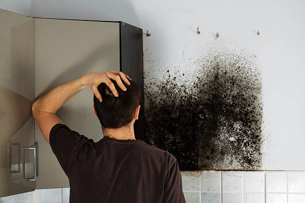 Best Attic Mold Removal  in Hopelawn, NJ